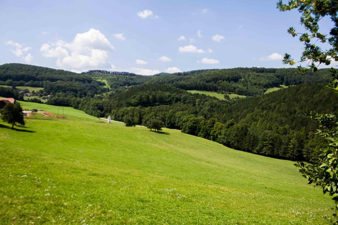 Waldhof Grasel Aparthotel Vasdobra Kültér fotó