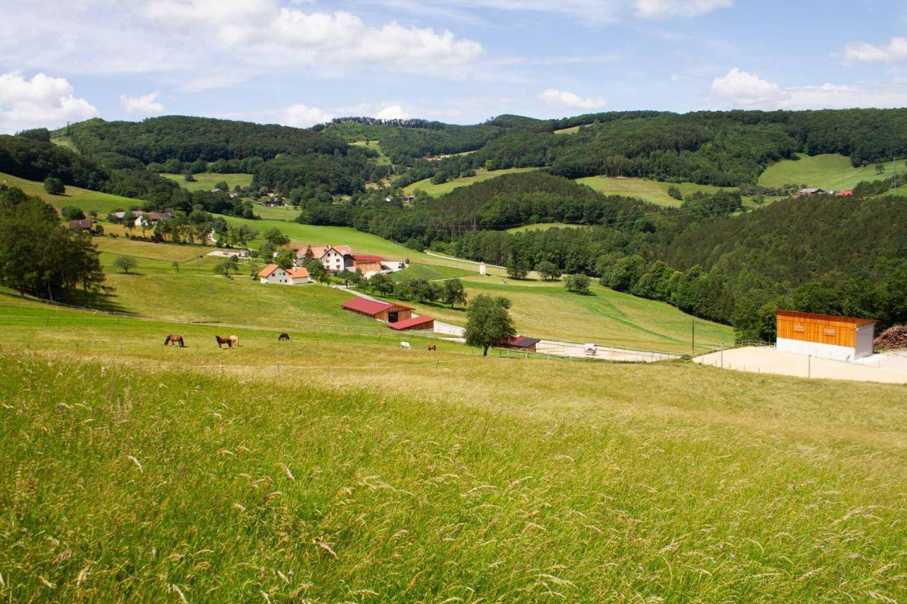 Waldhof Grasel Aparthotel Vasdobra Kültér fotó